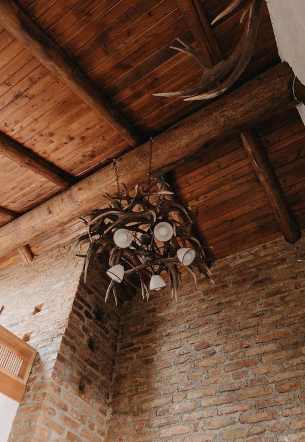 Honey Home Bistriţa エクステリア 写真