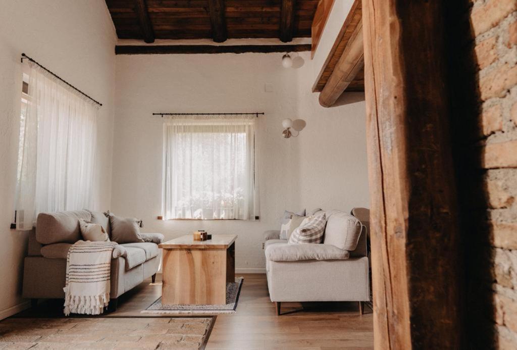Honey Home Bistriţa エクステリア 写真